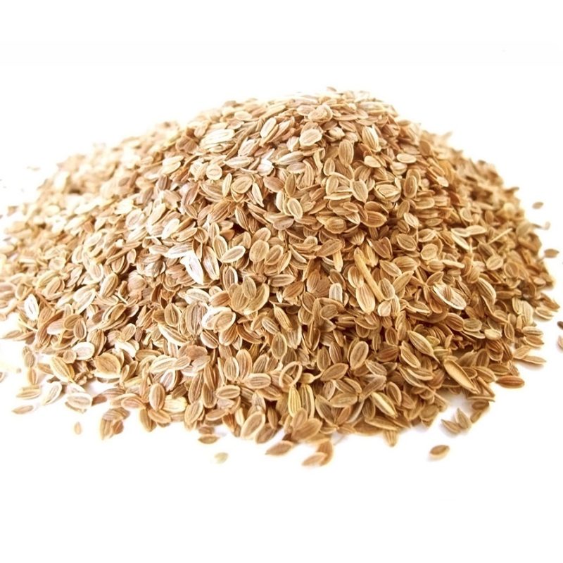 DILL SEEDS